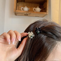 Water drill mini card-card ornament South Korean head small hair clip flower Liu Haiclip Top clip hair clip Hair Clip Grip small number