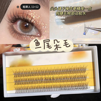 Scarecrow false eyelashes female super soft natural simulation Fishtail hair segmented single cluster swallowtail beauty eyelash grafting