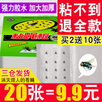 Fly paste strong fly paper board Home fly killer fly kill fly paper fly trap sweep sticky fly artifact light