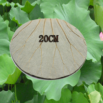 Weishan Lake whole dry lotus leaf slices round 20CM wooden barrel rice glutinous rice lotus leaf tea steamed cage bottom 100 sheets