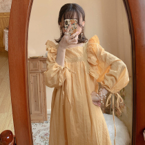 Pregnant womens dress spring and autumn dress Korean version of foreign style fashion tide mom casual wear long sleeve skirt loose large size long skirt