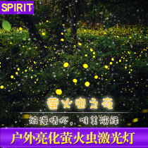 Outdoor waterproof foliage Firefly starry laser laser laser light scenic spot lawn lighting garden landscape light