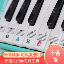 Organ 37 32 Key Bits Stickers Students Beginners Electronic Wire Outlet Blow Universal Five-Line Spectrum Minimalist Accessories
