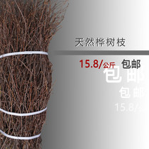 Natural birch tree thin dry branches kindergarten handmade DIY living room partition wedding arch rattan vase flower arrangement