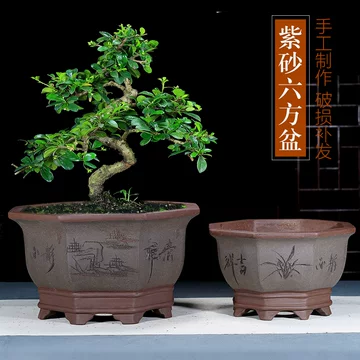 八方紫砂花盆-八方紫砂花盆促销价格、八方紫砂花盆品牌- 淘宝
