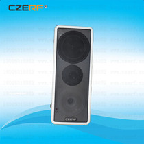 Chuanzhou Electronic CZE-KR101 FM Wireless FM Optional Frequency 76-101 5MHz Indoor Receiving Speaker