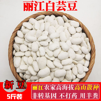  White kidney beans New goods Yunnan Lijiang farmer big kidney beans 5 kg of whole grains white kidney beans beans big white beans