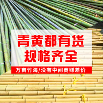 Bamboo fence thin bamboo pole interior decoration outdoor vegetable garden set up thin bamboo pole bamboo flag dancing bamboo pole