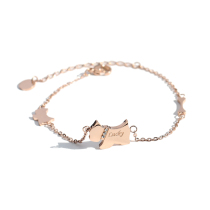 Japanese and Korean version of titanium steel anklet women do not fade simple puppies rose gold this year temperament Joker ankle foot chain
