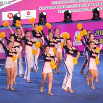 Custom cheerleading performance costumes cheerleading uniforms competitive aerobics clothing gymnastics uniforms students 19 new women