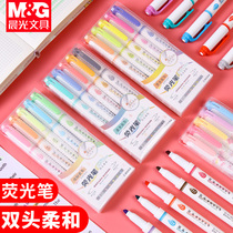 Chenguang double head highlighter pen double pen color large capacity key marker pen multiple color marker students use to take notes special color pen Morandi color multi-color silver color pen