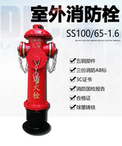 Above ground fire hydrant SS100 65-1 6 outdoor fire hydrant above ground hydrant DN100 Outdoor bolt replacement