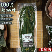 Zongzi leaves free postage fresh large Zongzi leaves vacuum rump leaves new leaves extra large dry brown leaves wrapping Zongzi leaves wholesale