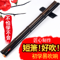 Xiao Musical Instrument Beginner Purple Bamboo Short-Xiao Adult High-end Zero Foundation Introductory Carry-on hole flute professional playing ancient and carefree