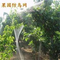 Stop bird silkscreen transparent fish wire non-woven fabric Grape Tree Bagging Anti-Bird Sparrow Shield Greenhouses Bird-repelling grapes