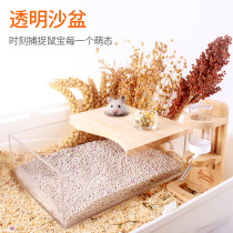 Hamster sandbath set Full acrylic bath room full transparent golden bear large toilet Bath Bath bathroom