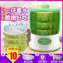 Balcony soilless cultivation green seeds pea seedling family pea sprouts bean sprouts home summer pot Bud pot