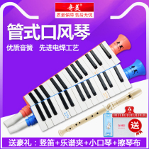 Chimei 27 key 13 key mouth organ for children beginner children portable horn mouth organ for teaching