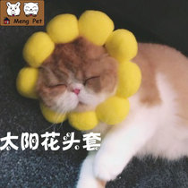 Cute cat hat Cat headdress Sun flower Funny change hat Anti-bite warm cat hat Dog headgear Pet hat