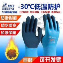 (Official Monopoly) Dengsheng 303 Gloves Warm in Winter and Cashmere Thickened Waterproof Fishing Wear Resistant and Cold Resistant