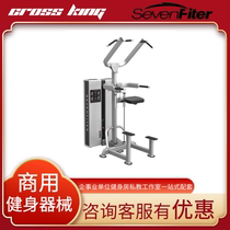 SevenFiter Schfitt SF7204 dual-function booster single-parallel bar trainer commercial fitness equipment