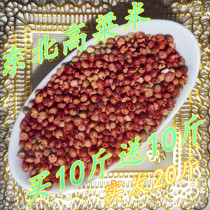 Northeast red sorghum 20kg shelled unpeeled sorghum rice 10kg with skin red sorghum rice brewing vinegar fed to pigeons