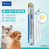French virbac Vik cat toothbrush small dog teddy toothbrush pet cat special toothbrush cleaning teeth