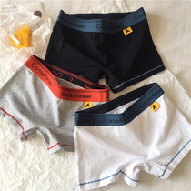 Lady CarbinKoneer pants flat angle pants pure color cotton safety underpants lest handsome t wide side neutral wind