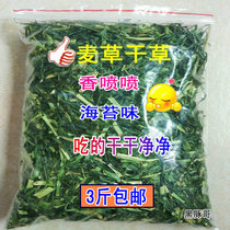 Natural wheatgrass Hay 100g pet rabbit grain Dutch pig guinea pig ChinChin feed fresh tender green hay