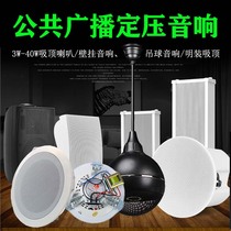 Public address system constant pressure ceiling Horn wall mounted speaker speaker shop classroom broadcast background music