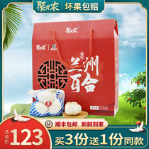Lanzhou fresh sweet Lily pure edible Gansu specialty White three head 1500g gift box gift box special non-dry goods