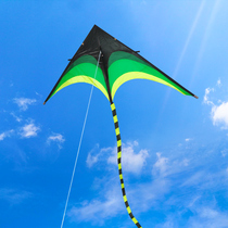 Weifang Kite Cool Xiang 2019 New Prairie kite large adult high-grade breeze easy flying long tail kite