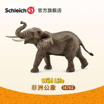 schleich African male elephant 14762 Childrens simulation wild elephant model plastic collection small toy