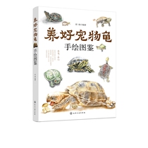 Keep a good pet turtle hand-painted beside