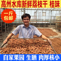 2021 new goods Gaozhou reservoir special nuclear small meat thick Lai Chee dried selection 9A natural sun dried lychee