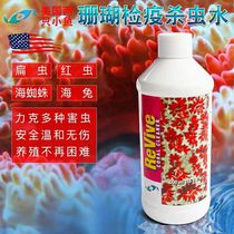 Two small fish insecticidal water coral quarantine insecticidal water RX coral tank quarantine water coral quarantine soft bone