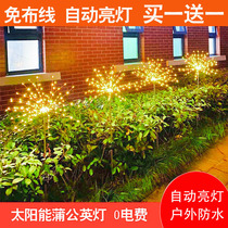 Solar Lamp Outdoor Courtyard Lamp New LED Inserts Garden Lawn Home Landscape Decorative lamp Dandelion Lamp