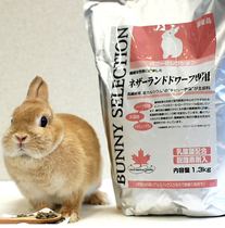 23-year-old 10 yue Japan original silver piano rabbit food stuffed staple mao mao tu dedicated staple 1 3kg