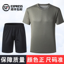  Physical training suit suit mens summer physical fitness suit short-sleeved womens quick-drying air-permeable round neck army fan t-shirt physical shorts