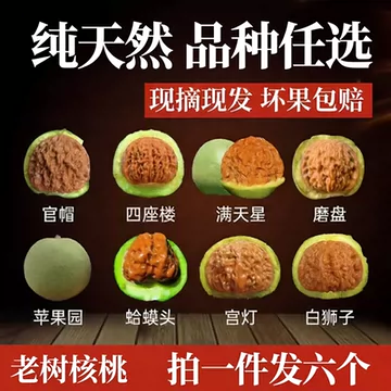 新手文玩核桃-新手文玩核桃促销价格、新手文玩核桃品牌- 淘宝