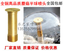 4 minutes 6 minutes 1 inch all copper high quality mushroom hemisphere nozzle Fish Pond Square fountain garden landscape gardening