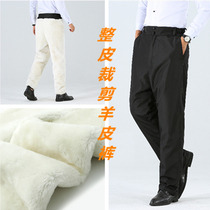 Winter cashmere sheepskin leather pants mens fur whole skin middle-aged and elderly casual thick warm cotton pants