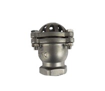 316 stainless steel thread bottom valve H12W lift type check valve water pump water suction corrosion resistant shower head 2 inch DN50