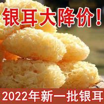 The Ugly Gurry White Silver La Lotus the Yuan La Fujian special products of Gutian Big Flower and Ugly Gruda