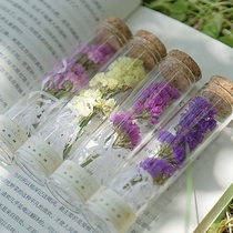 Forget me not to Starry Starry dry bouquet to make a wish glass vase rose plant natural Yunnan living room birthday gift