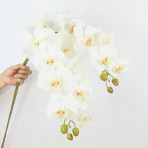 High quality hand feeling 9 head Phalaenopsis simulation single branch fake flower Nordic table decoration floral dress wedding flower arrangement