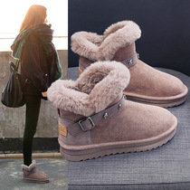 New Snow Boots Womens Boots Winter Fur 2021 One Low Boots Thick Cotton Shoes Han Chao ins
