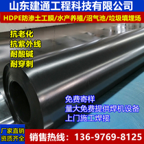 HDPE geotechnical membrane 1 0 mm1 5 mm2 0 septic pool film dump dedicated geomembrane impermeable membrane