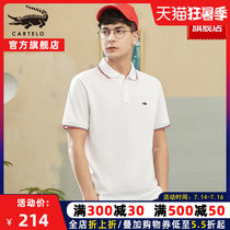 Crocodile polo shirt mens loose 2021 new mens t-shirt high-end striped lapel t-shirt top trend thin section