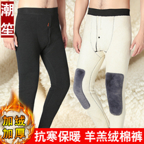 Mens cotton pants winter plus suede thickened northeast beating underpants lamb sumpsuit pants mid-aged warm sweater pants inside